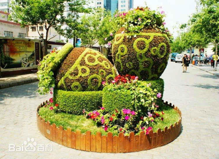 成都大苏打公司